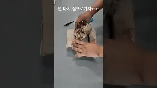 cpu수리 1편 택배가왔어요 #형만따라와 #shorts #윈도우11 #cpu수리 오늘도 역대급 핀수리가왔구나
