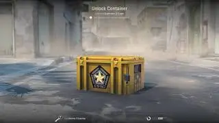 DAY 510 Opening 1 case/day until rare special item