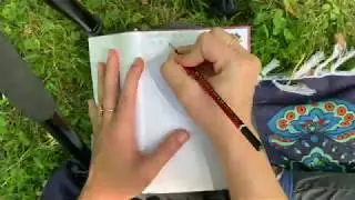 Write About a Mushroom to Love It: Nature Journaling With Words