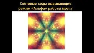 Профилактика онко заболеваний. Поджелудочная железа