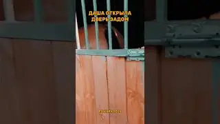 ⚡бесплатные стикеры в тг - @eqvirey
