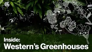 Inside: Western's Greenhouses