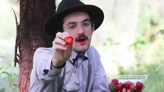 the guy who comments 