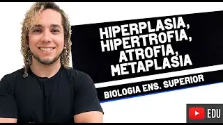 Adaptações Celulares: HIPERPLASIA, HIPERTROFIA, ATROFIA, METAPLASIA  - Biologia com Patrick Gomes