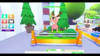 Layout of my pet shop! #mypetshop