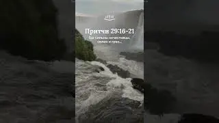 Притчи 29:16-21 современный перевод Библии #shorts