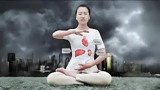 Human Harvest: China’s Illegal Organ Trade documentary (Daryl Bennett)