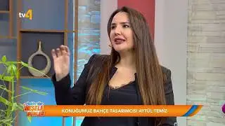 TV4 - Selda ile Neşeli Günler l Çiçek Saksı Değişimi Nasıl Yapılır?