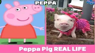 Peppa Pig REAL LIFE  ALL characters