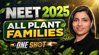 NEET 2025 | All Plant Families | One Short | NEET Biology Revision | Ritu Rattewal Ma'am