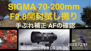 【SIGMA 70-200mm F2.８DG DN OS Sports】 開封・試し撮り 4K