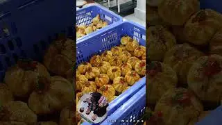 SAMSA SALIMA OPA NAVOIYDA 91.4002133