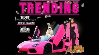 RealSheriff trending visual