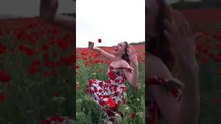 Маковое поле