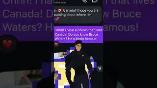 Stupid Scammer