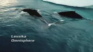 Lessika - Omnisphere (Video edit)
