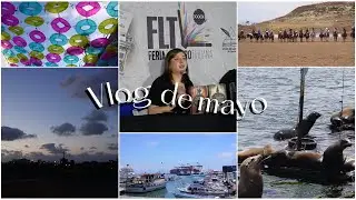 Vlog de mayo (no leí nada) || Yo Soy Kimpossible 📗