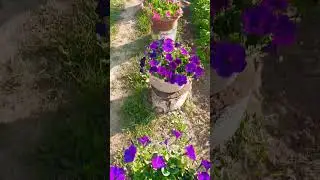 Доброе утро ☕️🌞🫶 С первым днём июля 🌺💞 