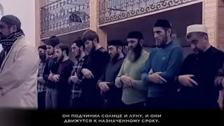 Сиратуллах Раупов | Сура «Раад» [1-16]