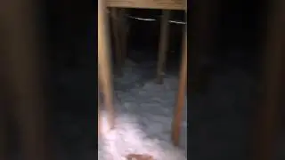 Attic Insulation