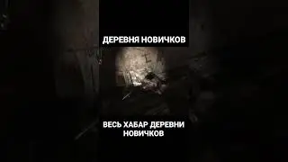 Сталкер деревня новичков 