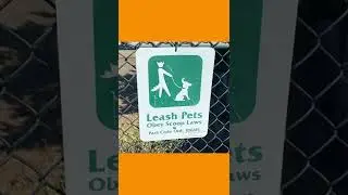 r/MildlyVandalised This Baby Is On Something