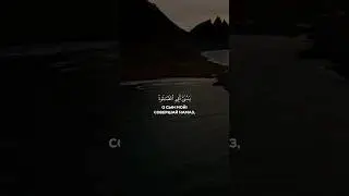🫀🗣️Умар Сильдинский