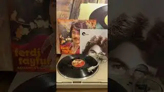 ferdi Tayfur - yüreğimde yara var (1991 dönemi)            devamı profilde 👇