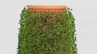 Как сажать растения на поверхность MagicPlanter