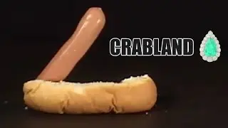 Hot Dog