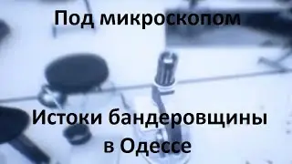 Под микроскопом. Как в Одессе появились бандеровцы