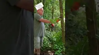 Be SAFE when using Mini Chainsaws.