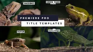 70 FREE Call Out Titles   Advanced  Preset for Premiere Pro