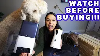 Pet Camera Review: Petcube Bites 2 vs Furbo [WATCH BEFORE BUYING]