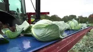 Commander I, Cabbage harvester / Récolteuse à choux Univerco