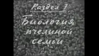 Учебный фильм кино курс по пчеловодству. Биология пчелиной семьи. СССР 1967 г