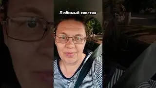 #бабушка_блогер #деревенскаябабушкаблогер ##милыеживотные #котики #любовь #хвостатыйдруг #видео #топ