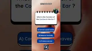 What is the function of the Cochlea in the Ear 👂 ? ￼