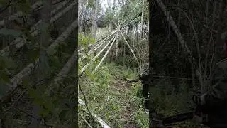 прикол про деда #приколы #юмор #цитаты #shorts #tiktok #humor #рекомендации #youtubeshorts #ржака