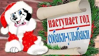 🎄🎅В ОЖИДАНИИ ЧУДА. Прикольное поздравление с Новым годом со вкусом счастья