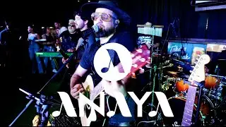 ALEJANDRO ANAYA - VAMPIRO - ZAPATO 3