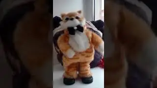 Пающий робо кот.