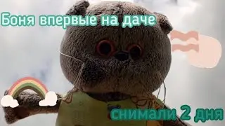 Влог 2 дня с басиком Боней #влог #2дня #поляибоня #diy