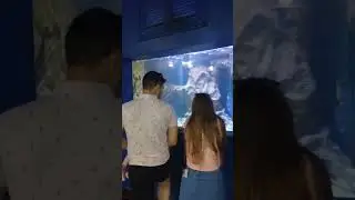 Аквариум, античный и загадочный 👍Дети счастливы были #узнайроссию #music