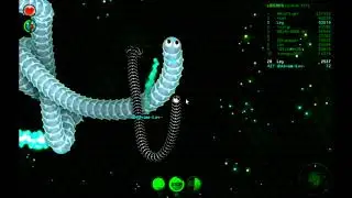 wormax.io|Čłâň~Łэч  +Bugs