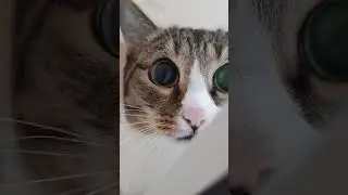Глазаааа 😳