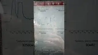 citroen c4 давление масла