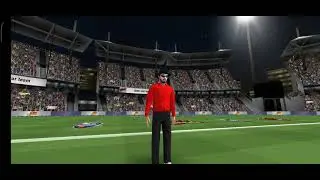 Cricket world