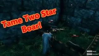 Taming Boars - A Beginner's Guide to Valheim Part 20