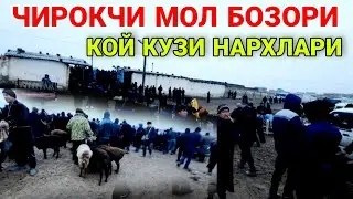 ЧИРОКЧИ МОЛ БОЗОРИ КОЙ КУЗИ НАРХЛАРИ 19 ЯНВАРЬ 2022 CHIROQCHI MOL BOZORI NARXLARI.